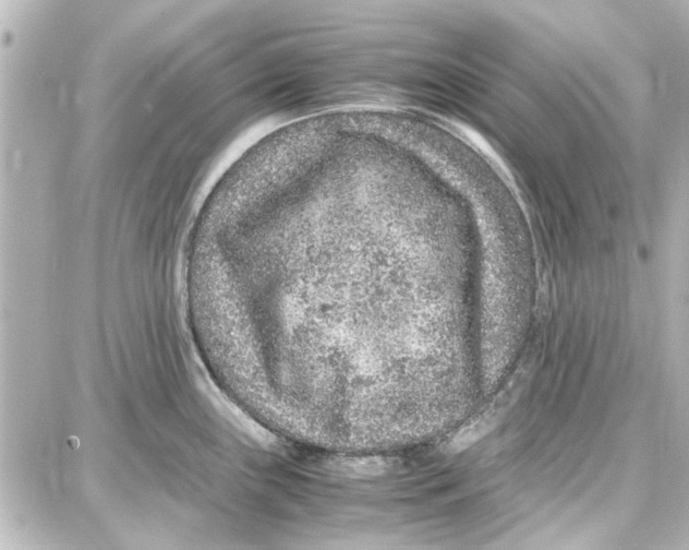 X0000087671243200705251611