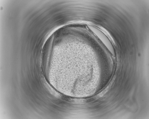 X0000087671244200705251611