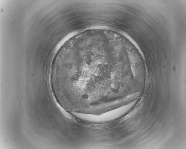 X0000087671245200705251611