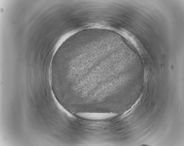 X0000087671247200705251611