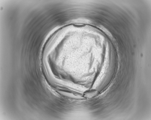 X0000087671248200705251611