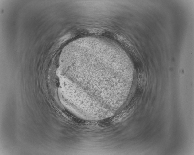 X0000087671249200705251610