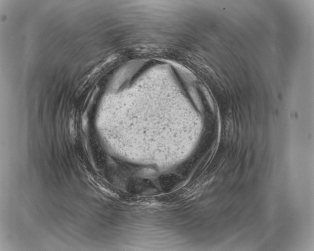 X0000087671250200705251610