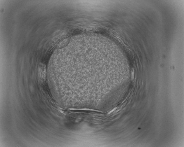 X0000087671251200705251610