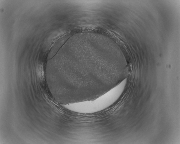 X0000087671252200705251610