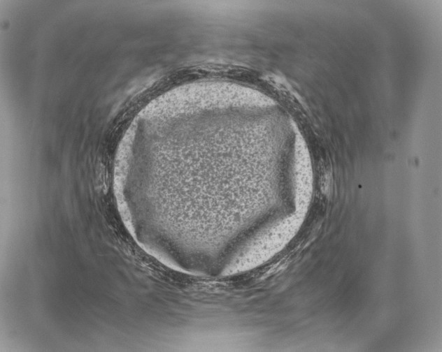 X0000087671253200705251610