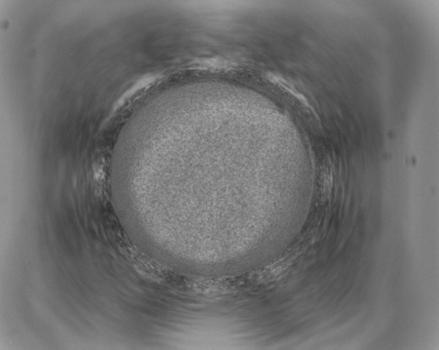 X0000087671254200705251610