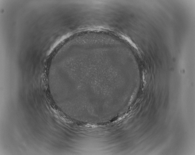 X0000087671256200705251610