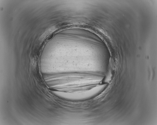 X0000087671257200705251610