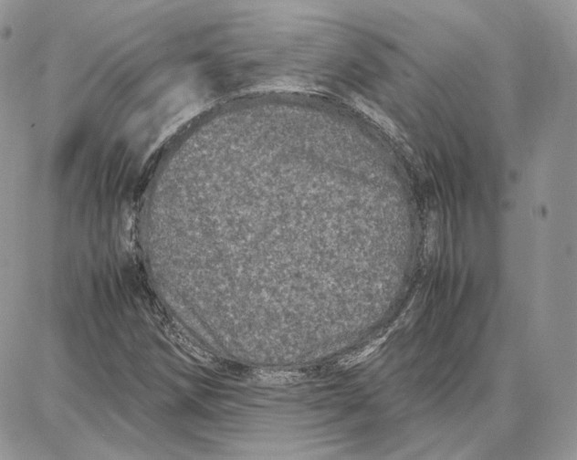 X0000087671258200705251610