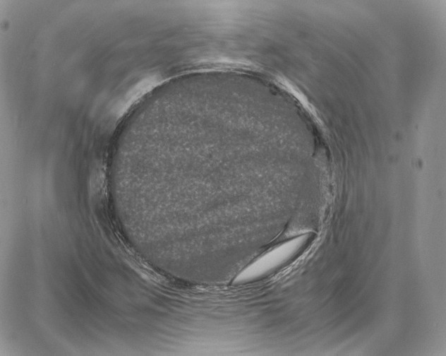 X0000087671259200705251610