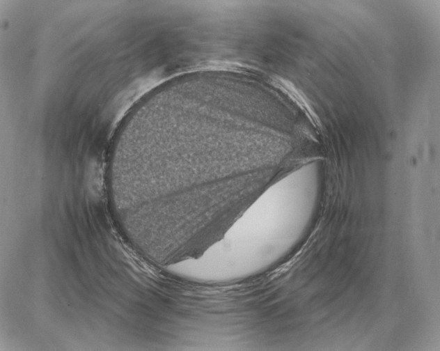 X0000087671260200705251610