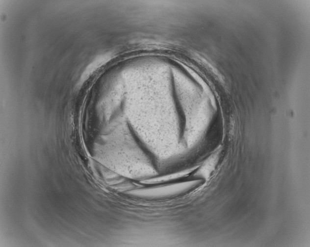 X0000087671261200705251610