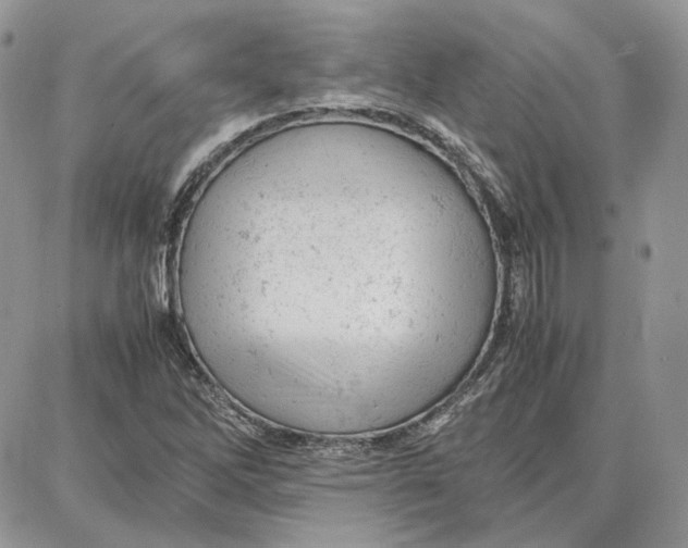 X0000087671262200705251610