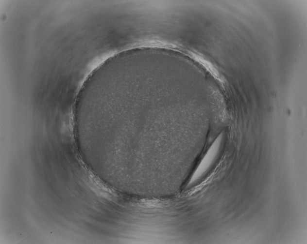 X0000087671264200705251610