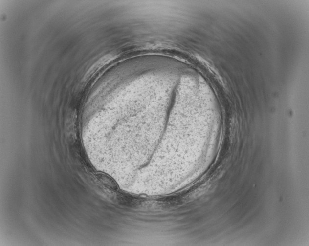 X0000087671265200705251610