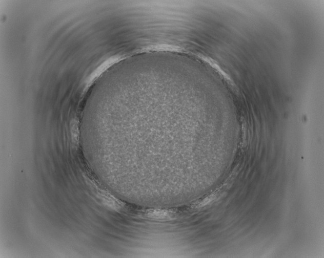 X0000087671266200705251610