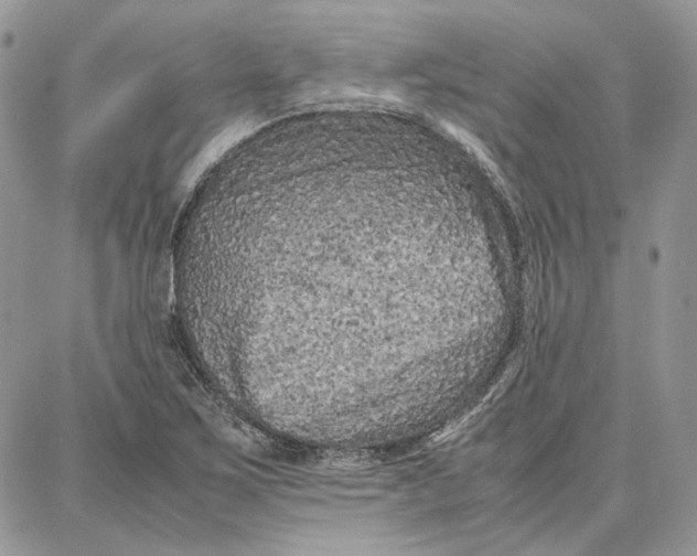 X0000087671267200705251610