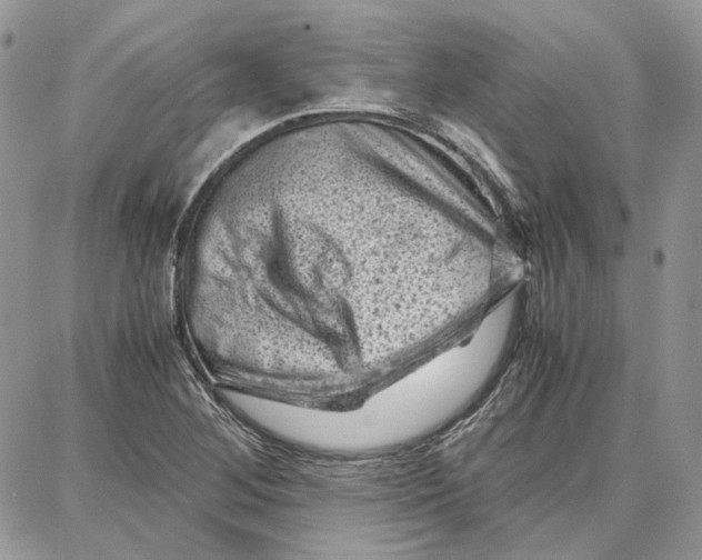 X0000087671268200705251610