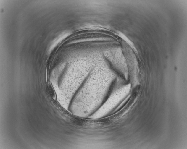 X0000087671269200705251610