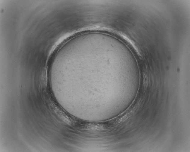 X0000087671270200705251610