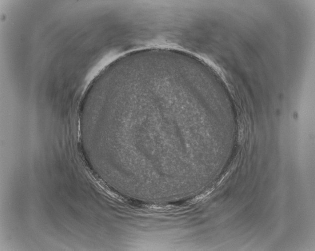 X0000087671271200705251610