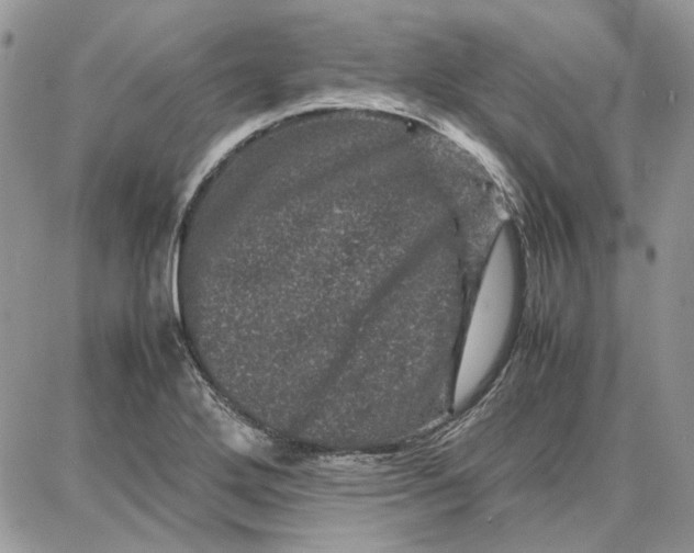 X0000087671272200705251610