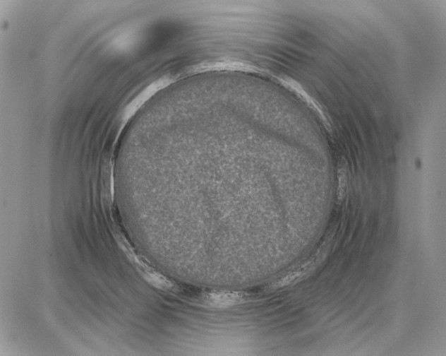 X0000087671274200705251610