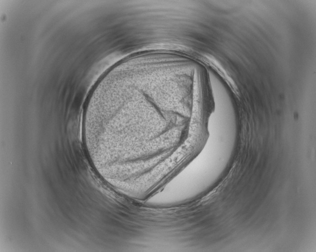 X0000087671276200705251610