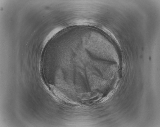 X0000087671277200705251610