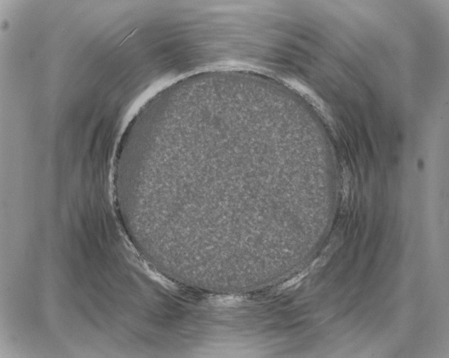 X0000087671278200705251610