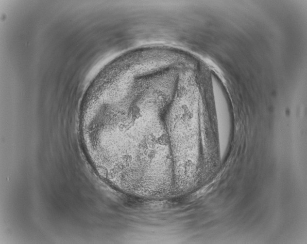 X0000087671279200705251610