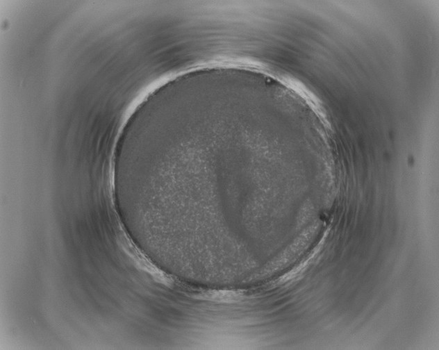 X0000087671280200705251610