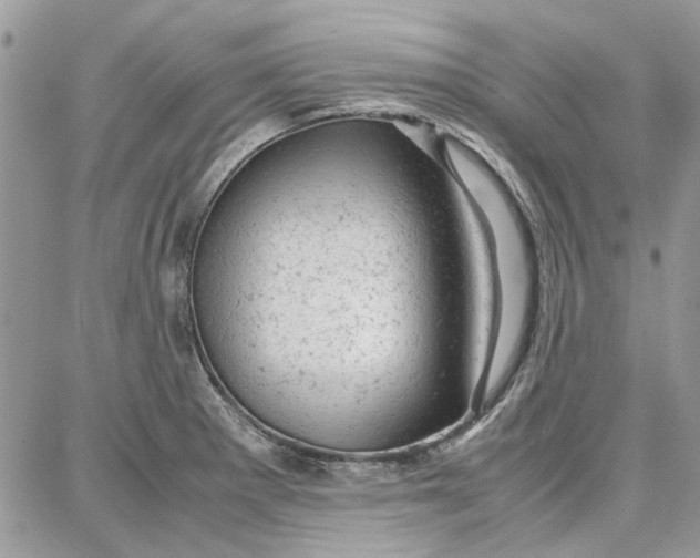 X0000087671281200705251609