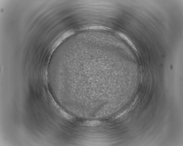 X0000087671282200705251609