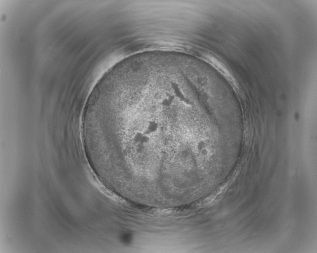 X0000087671283200705251609