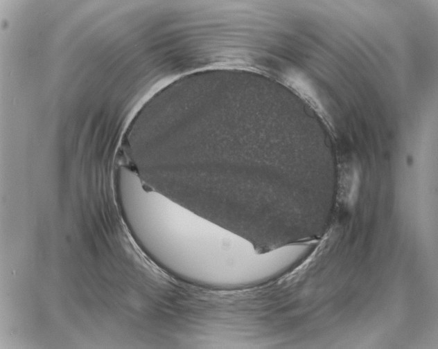 X0000087671284200705251609