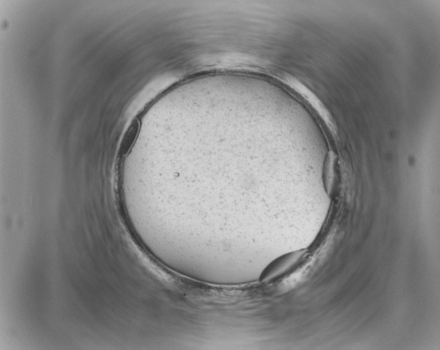 X0000087671285200705251609