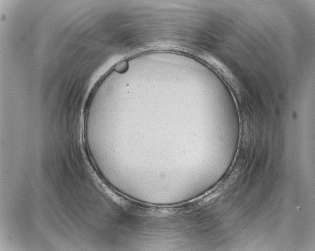 X0000087671286200705251609