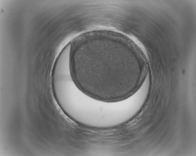 X0000087671287200705251609