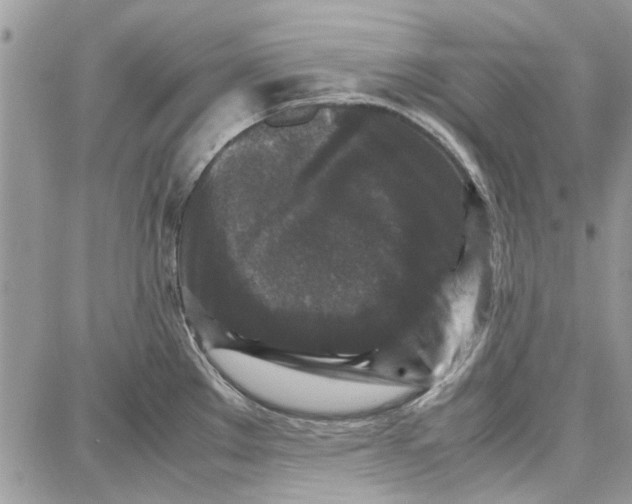 X0000087671289200705251609