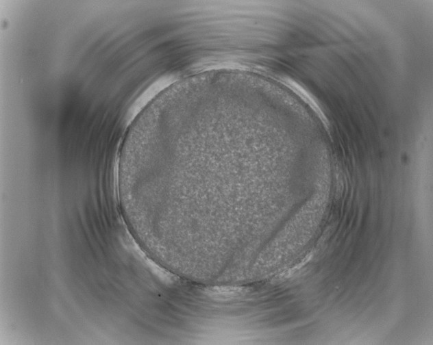 X0000087671290200705251609