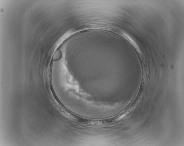 X0000087671291200705251609