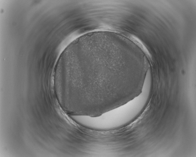 X0000087671292200705251609