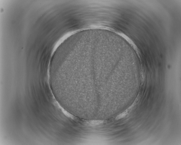 X0000087671294200705251609