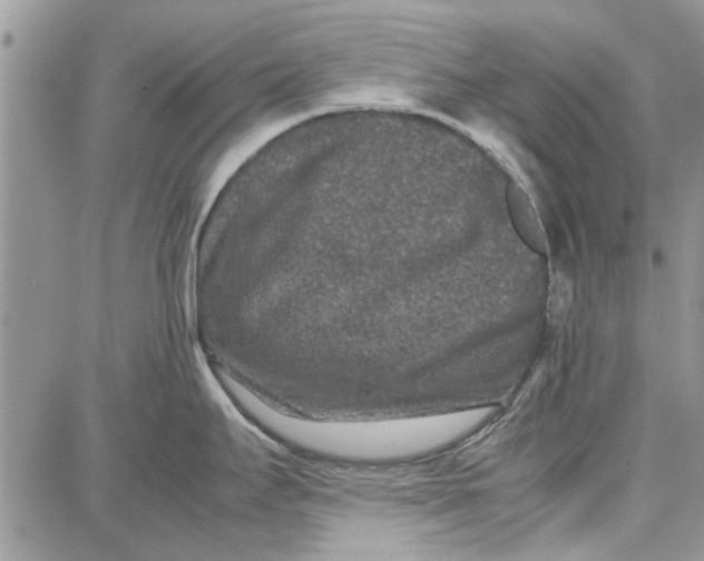 X0000087671295200705251609