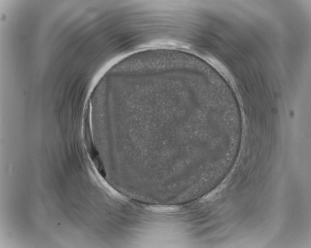 X0000087671296200705251609