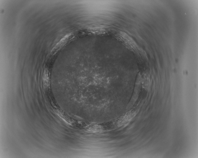 X0000087671298200705251608