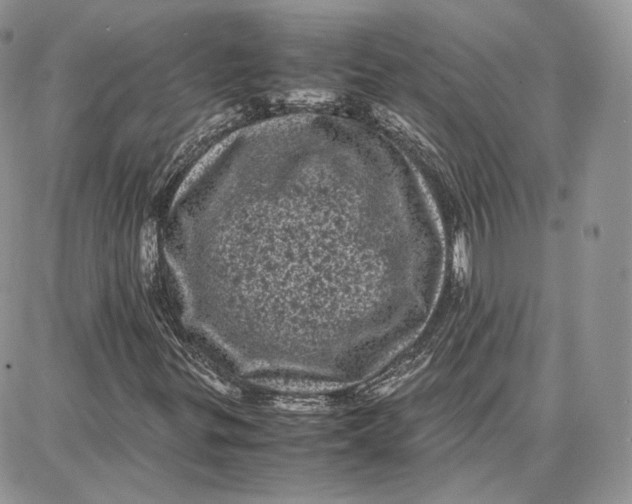 X0000087671299200705251608