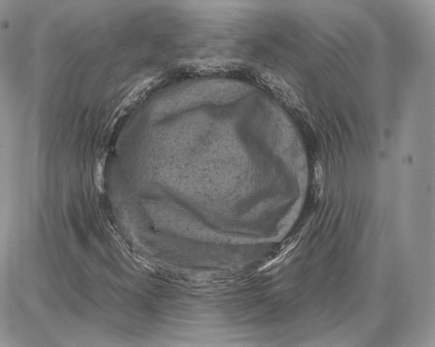 X0000087671300200705251609